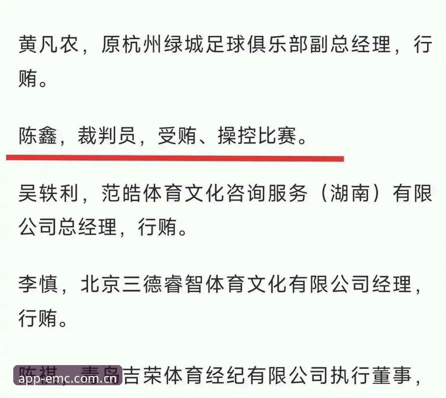 易倍体育APP官方推荐 中国足协第三批禁足名单详解:65人遭处罚背后的行业乱象